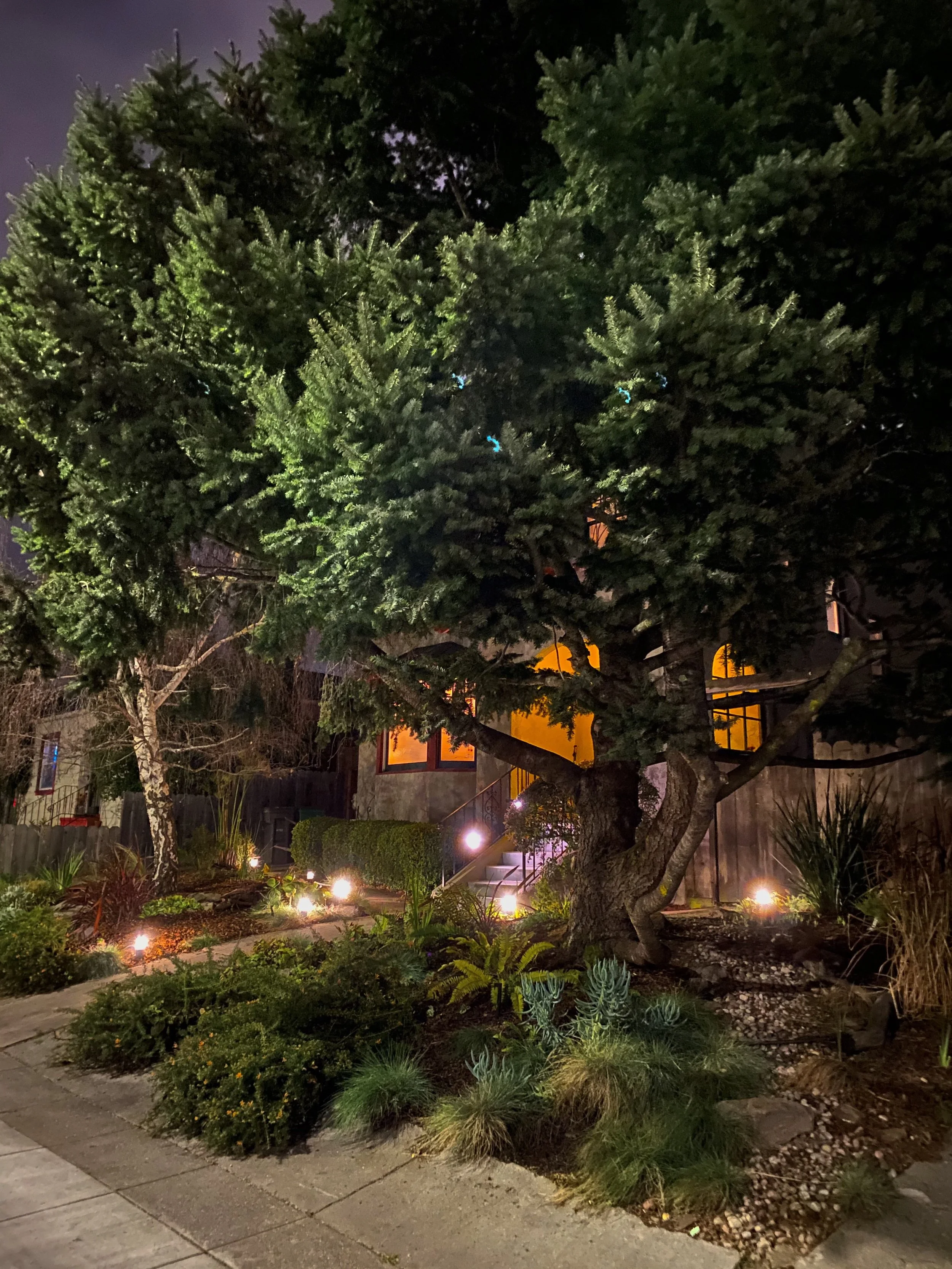  Finished Product – View from the street 