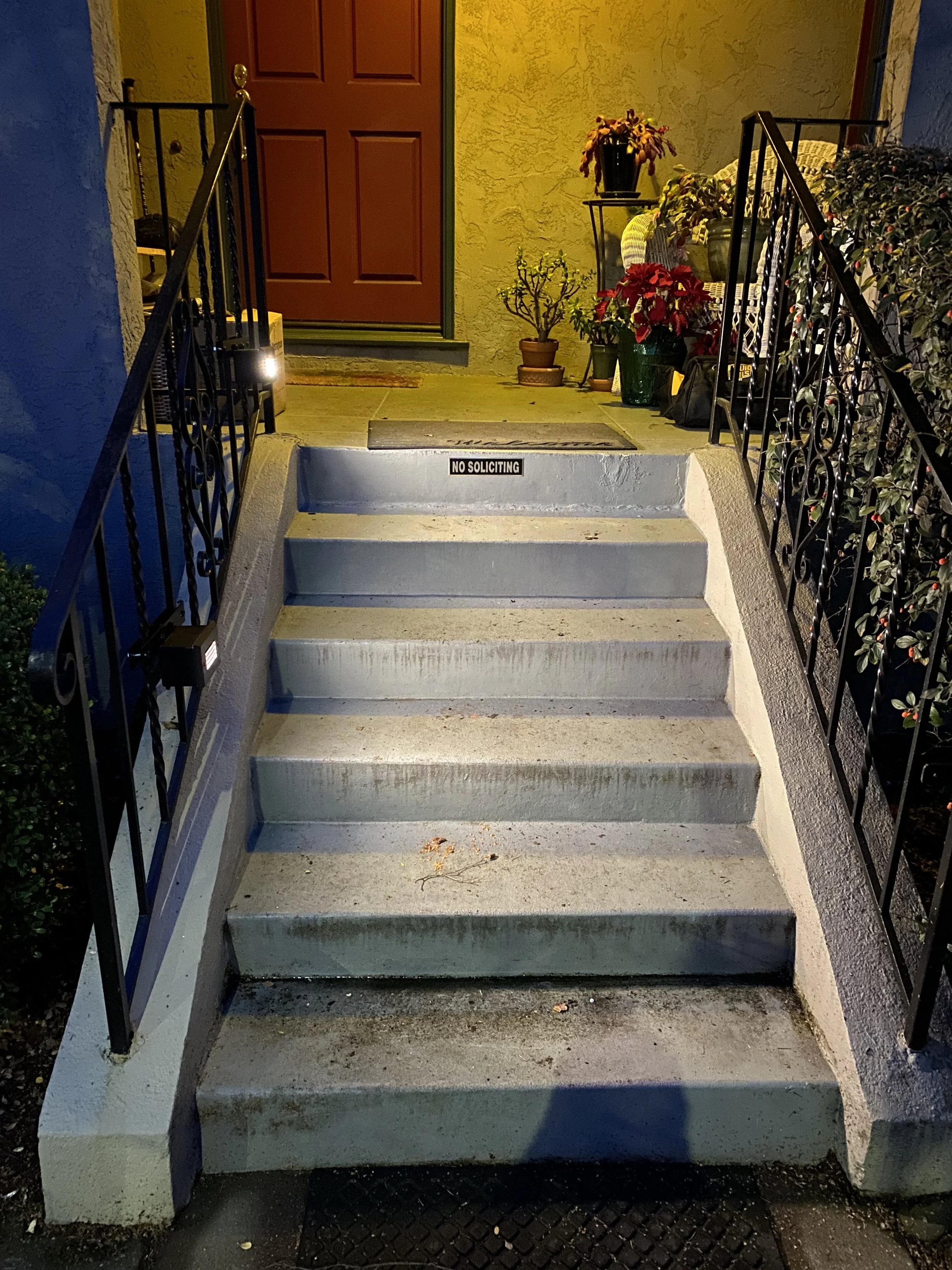  Finished Product - Front Steps 