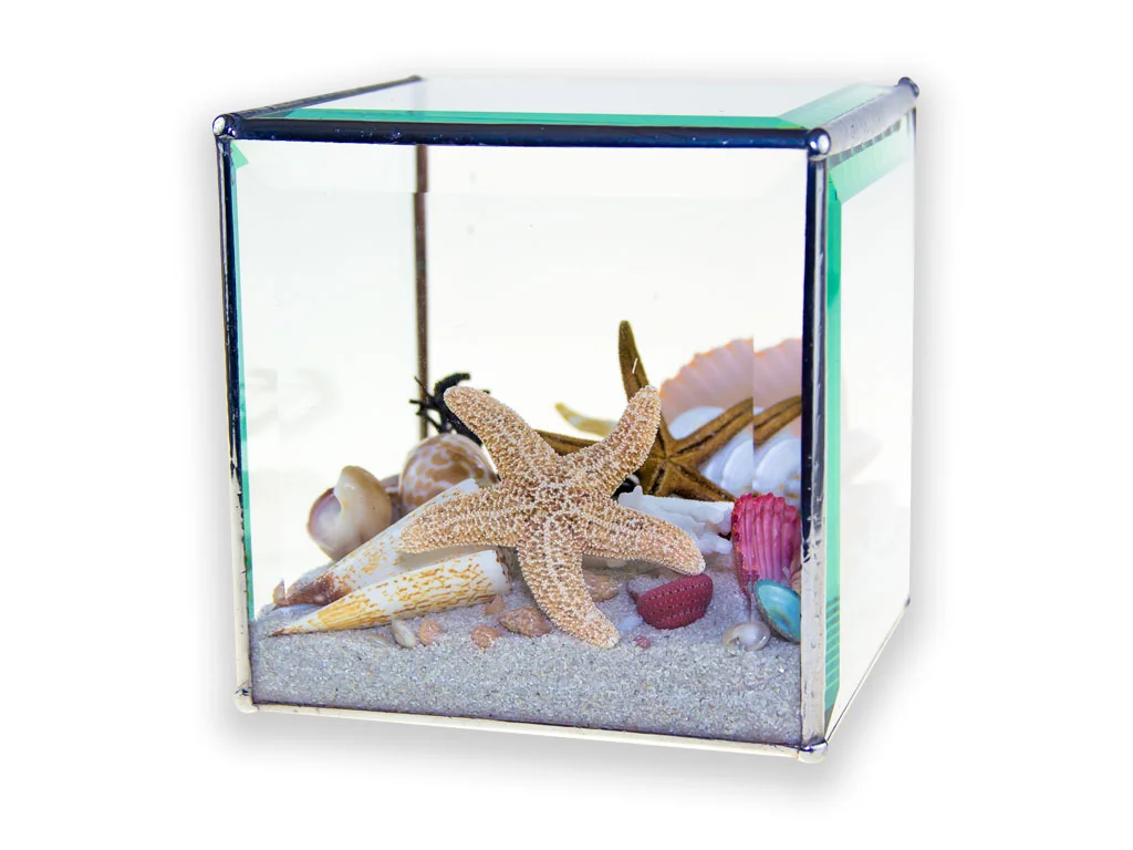 6x6 Cube Ocean Seascape