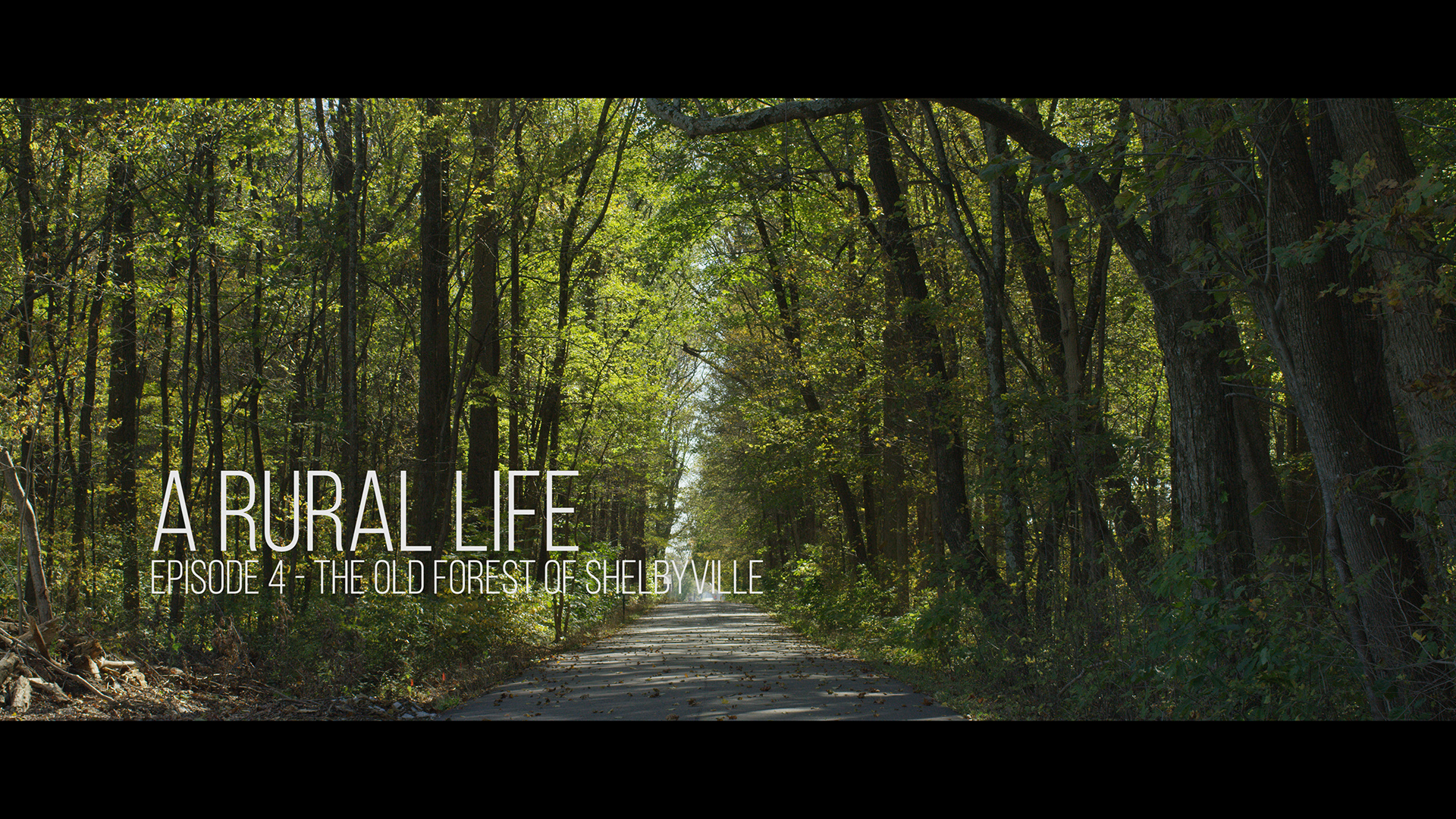 A Rural Life Episode 4 The Old Forest of Shelbyville Poster 1080.jpg