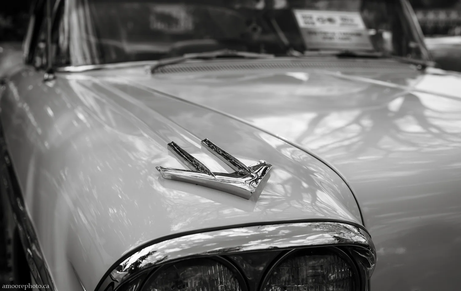  1/500, f/5.6, ISO 100, 50mm 