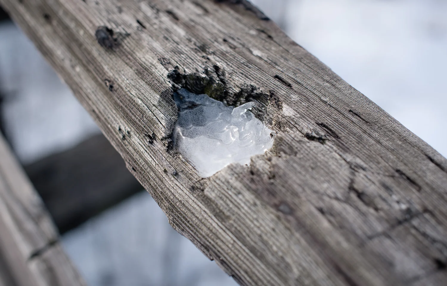  1/320, f/4, ISO 100, 50mm 