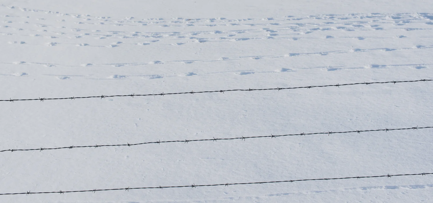  1/640, f/8, ISO 100, 50mm 
