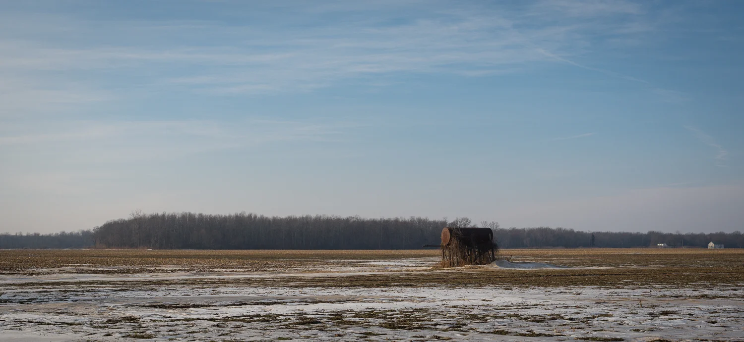  1/500, f/8, ISO 100, 50mm 