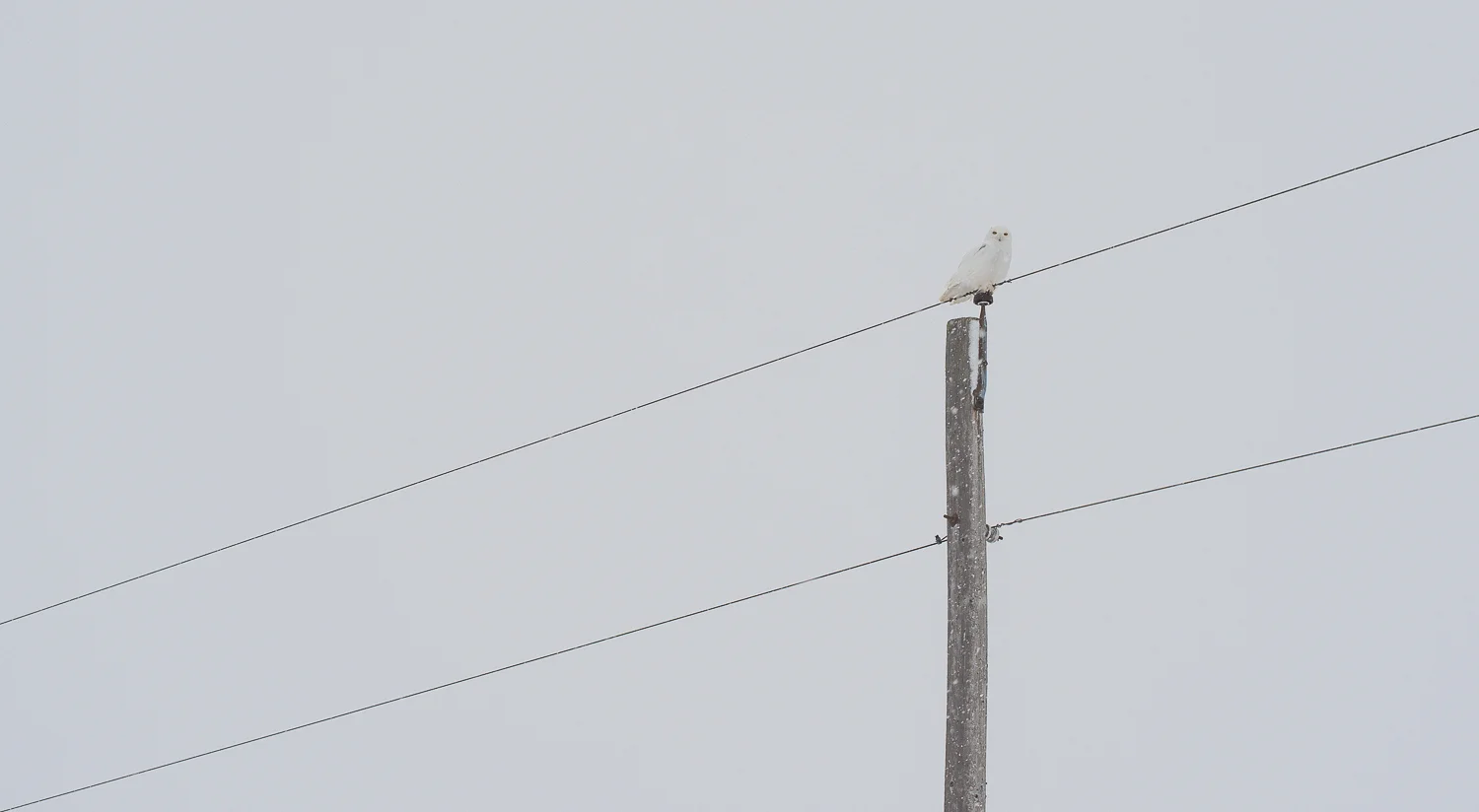  1/800, f/8, ISO 100, 50mm 