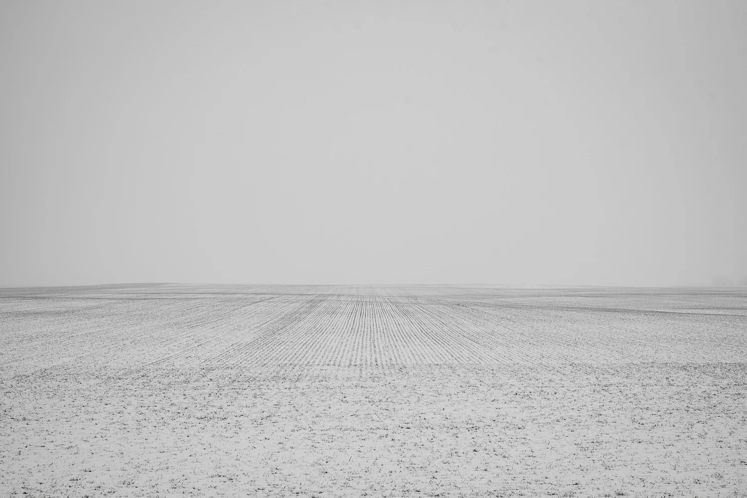  1/800, f/8, ISO 100, 50mm 