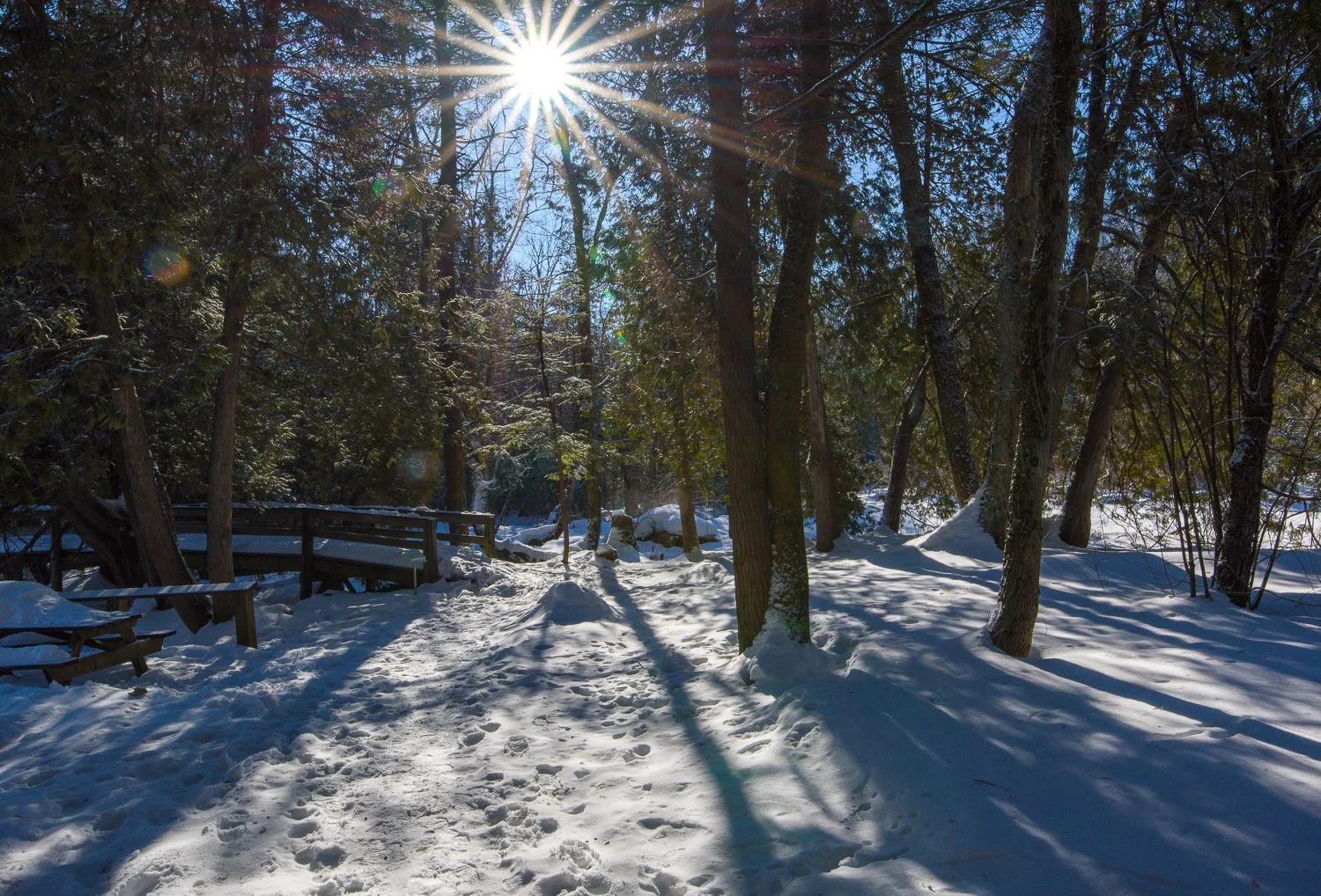  1/200, f/22, ISO 100, 23mm 