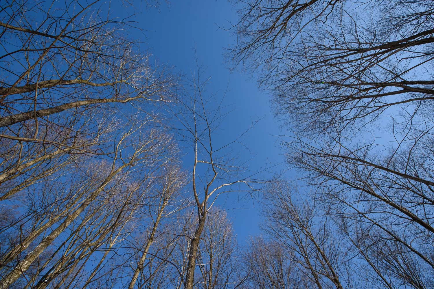  1/400, f/8, ISO 100, 15mm 