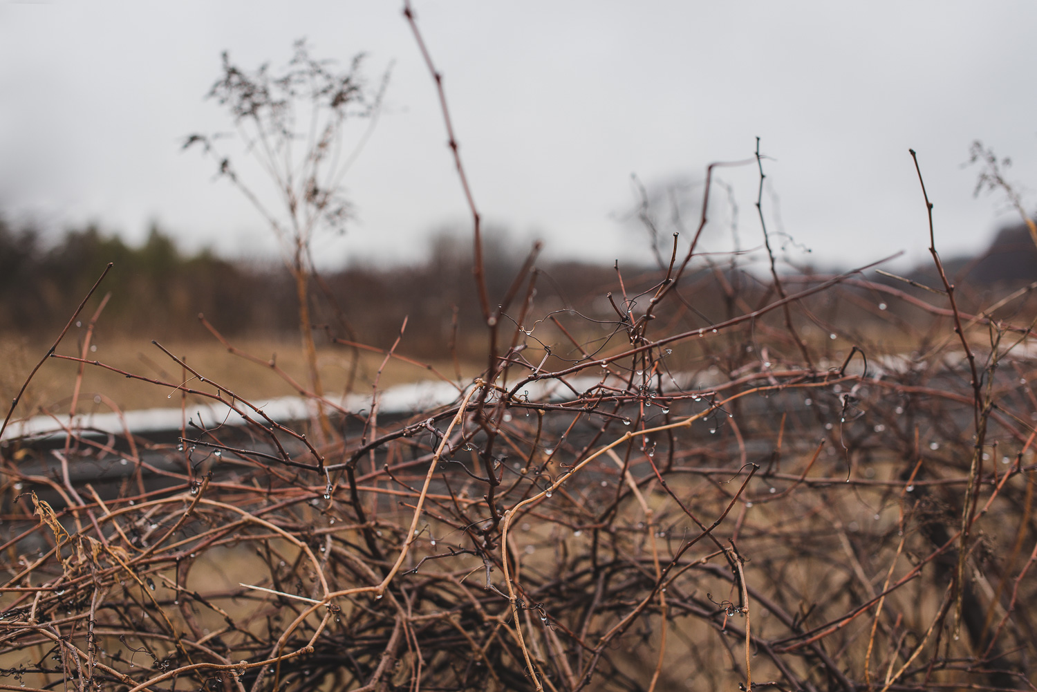  1/800, f/3.2, ISO 200, 50mm 