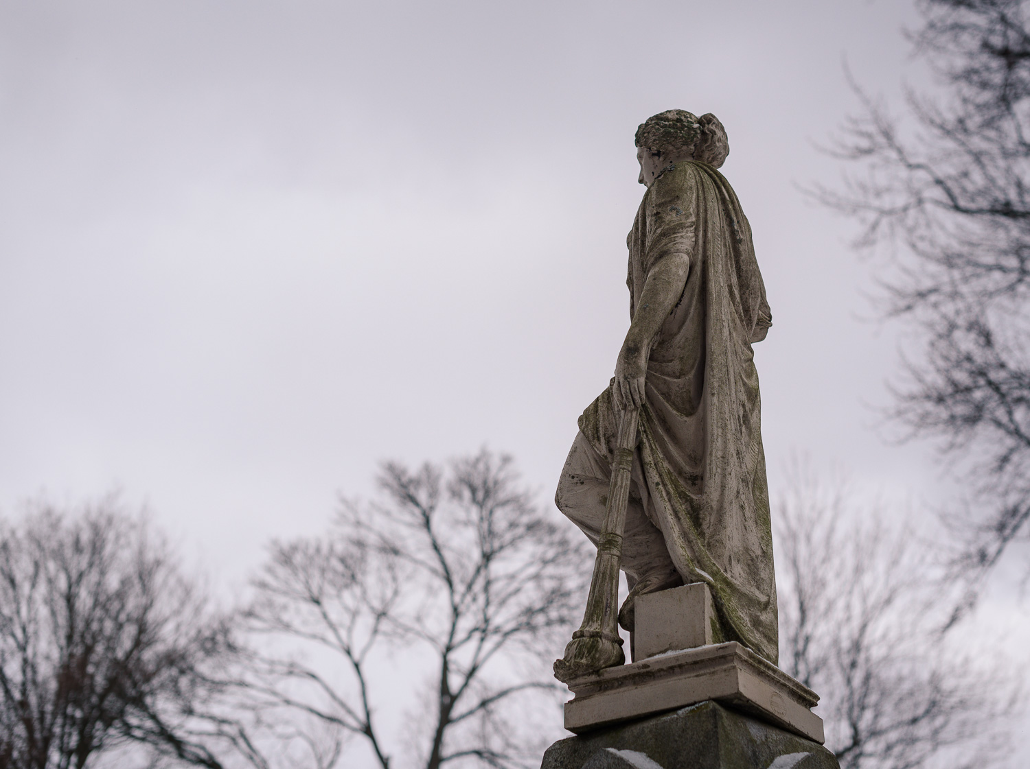  1/2000, f/3.2, ISO 100, 50mm 