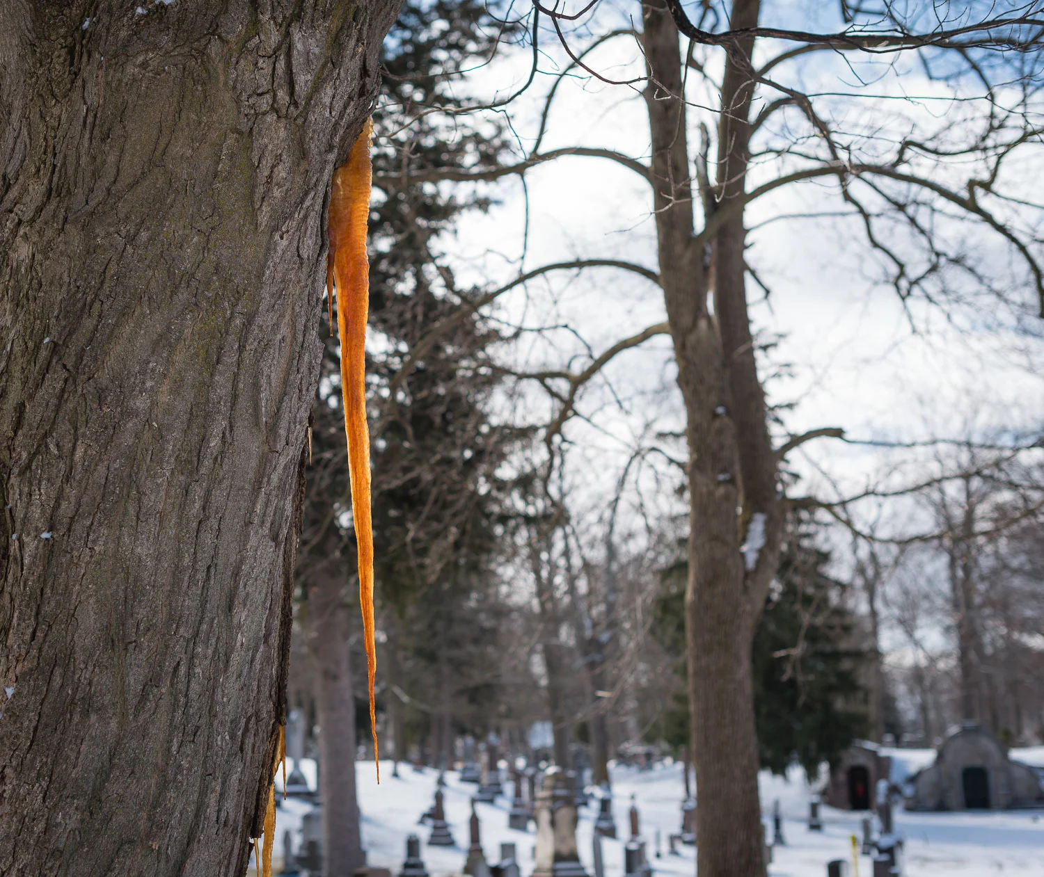 1/1000, f/3.5, ISO 100, 50mm 