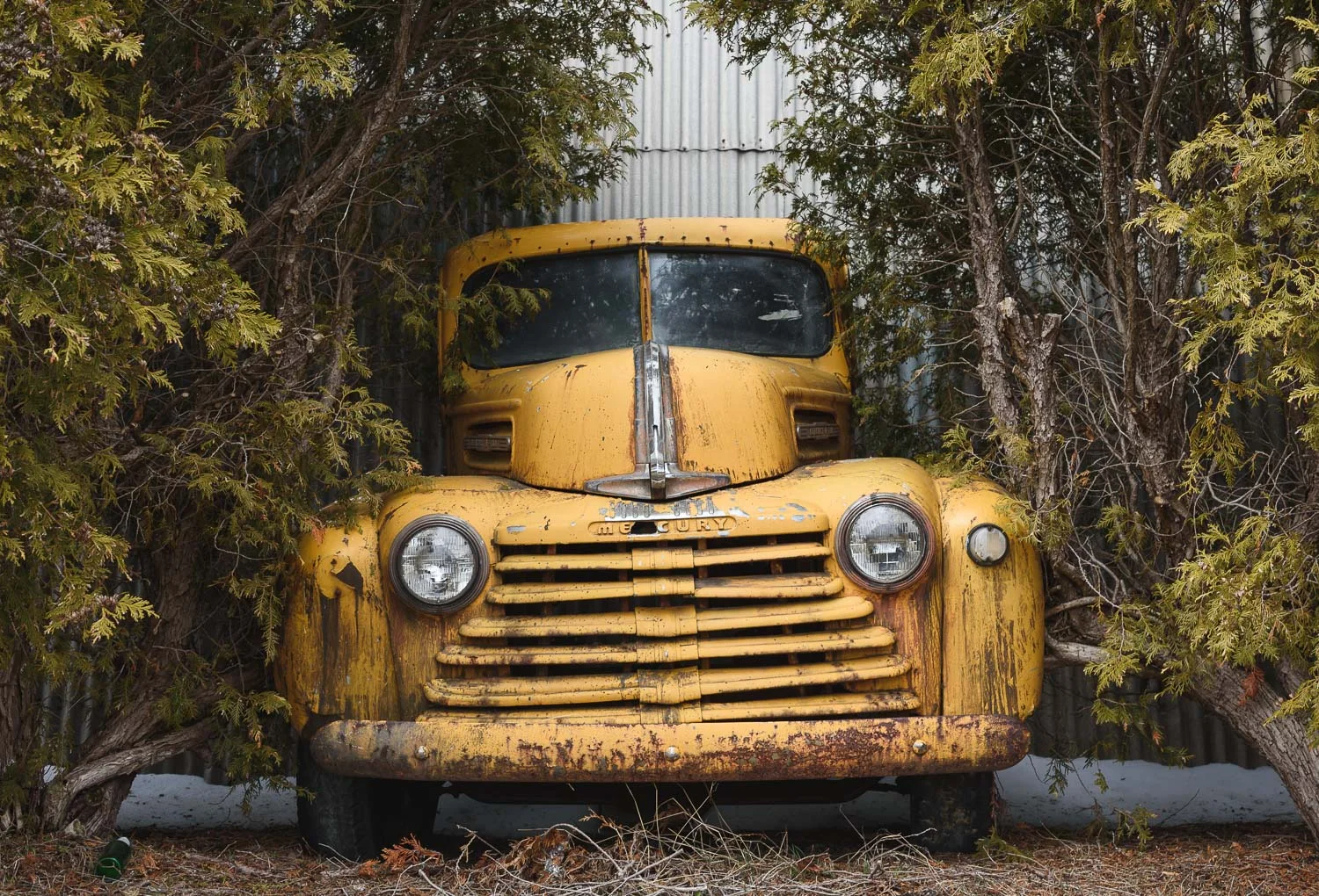  1/125, f/8, ISO 100, 50mm 