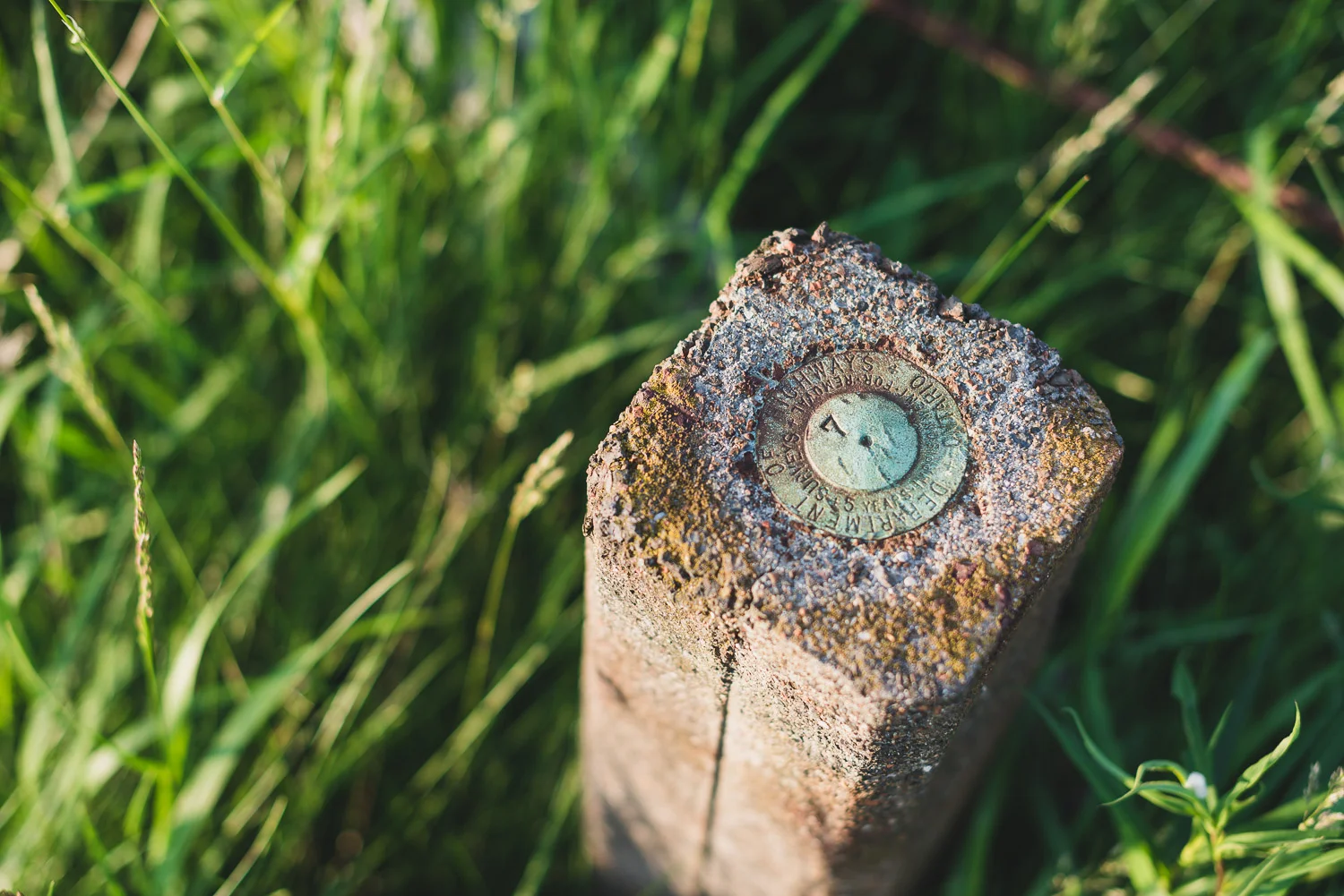  1/500, f/2.5, ISO 100, 50mm 