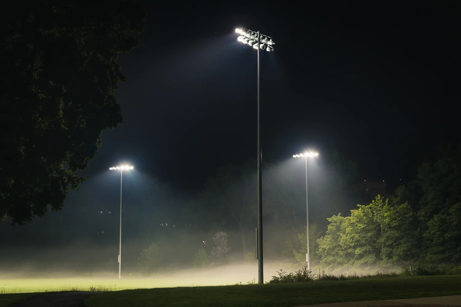  1/50, f/3.2, ISO 1000, 50mm 