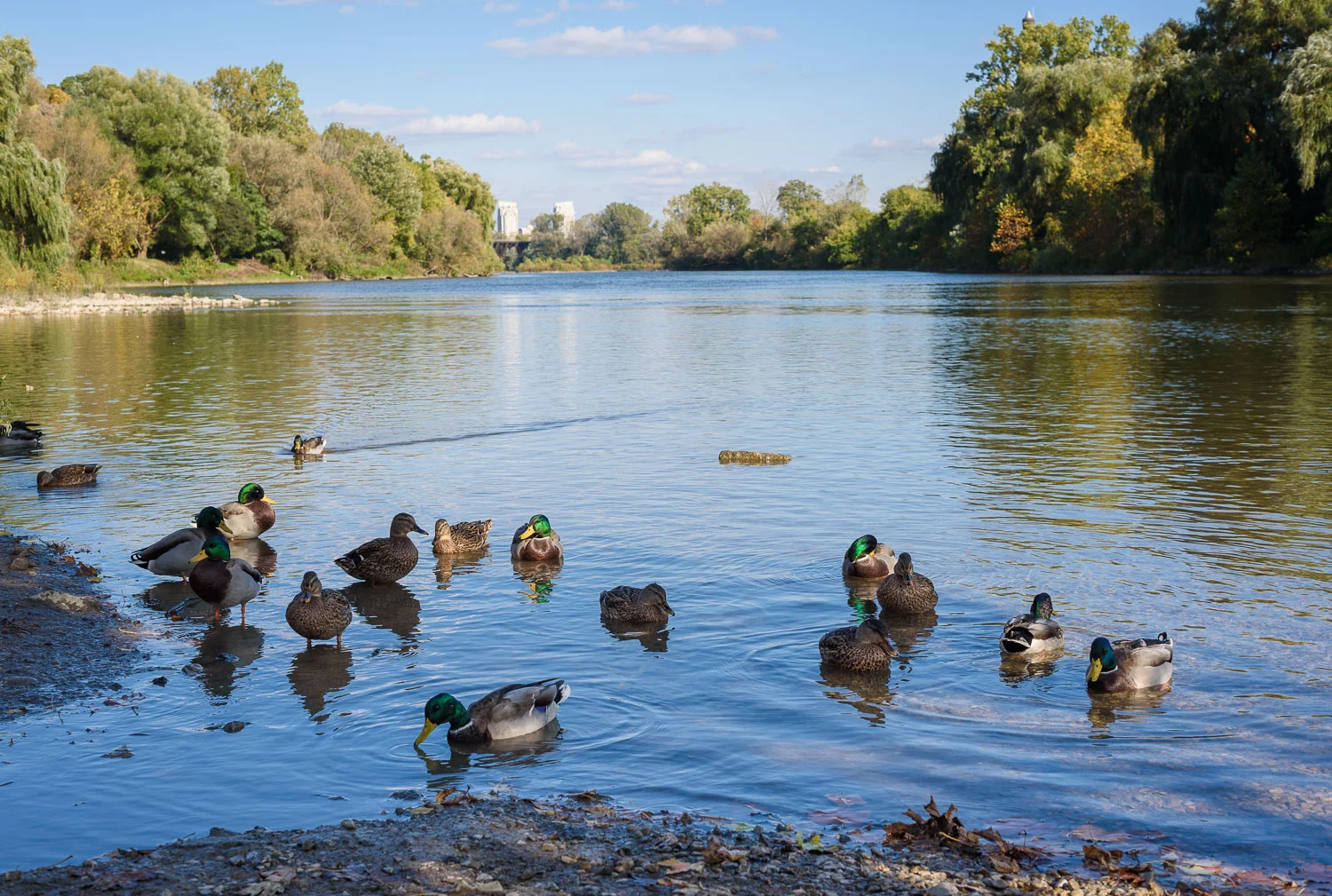  1/250, f/8, ISO 100, 50mm 