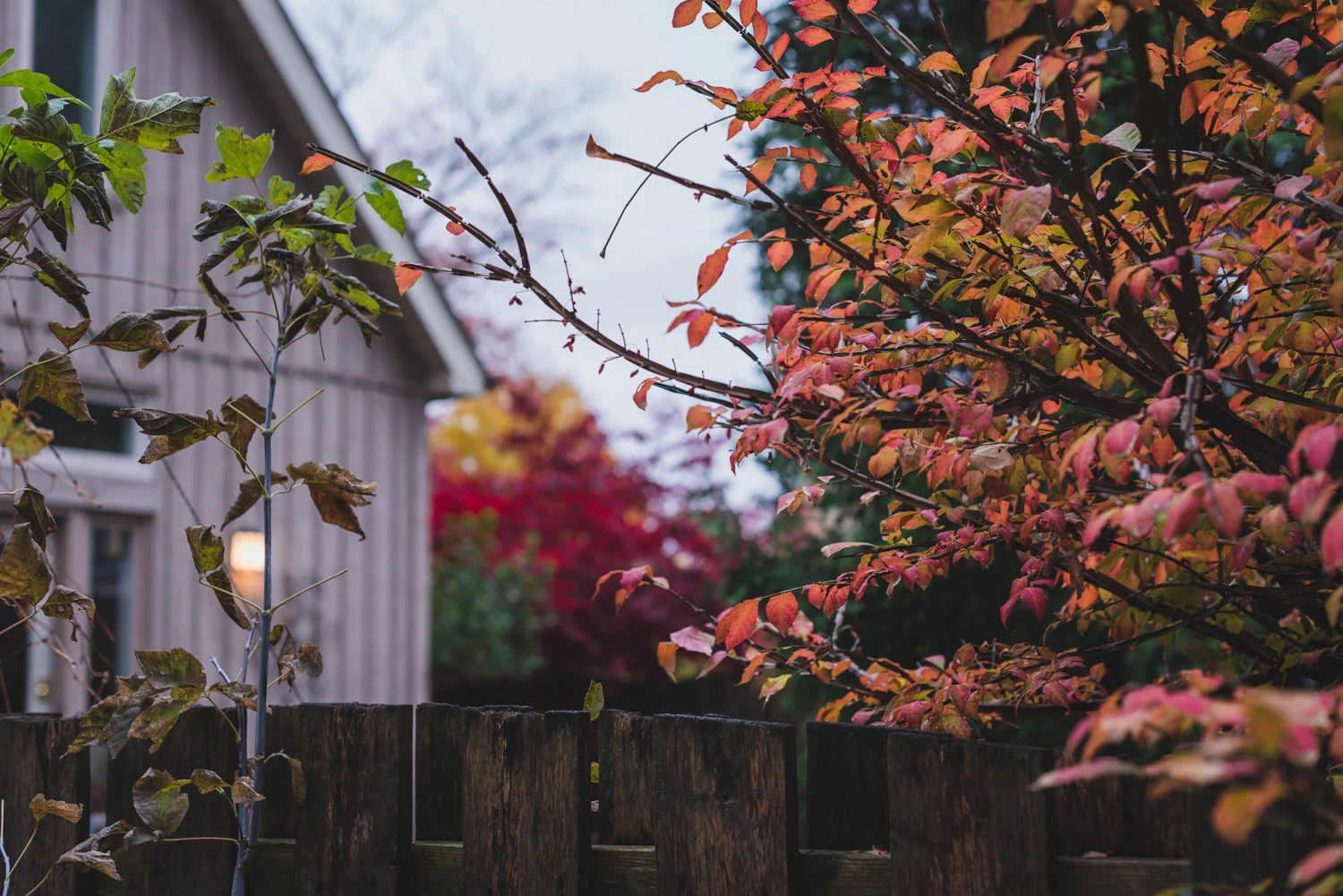  1/60, f/3.2, ISO 100, 50mm 