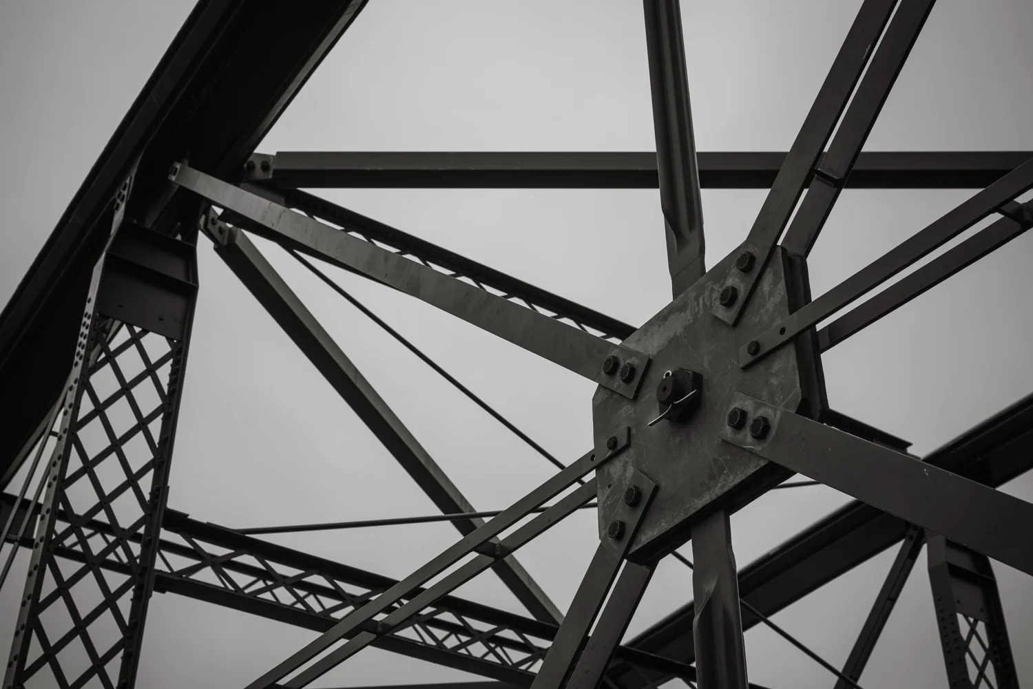  1/250, f/8, ISO 100, 50mm 