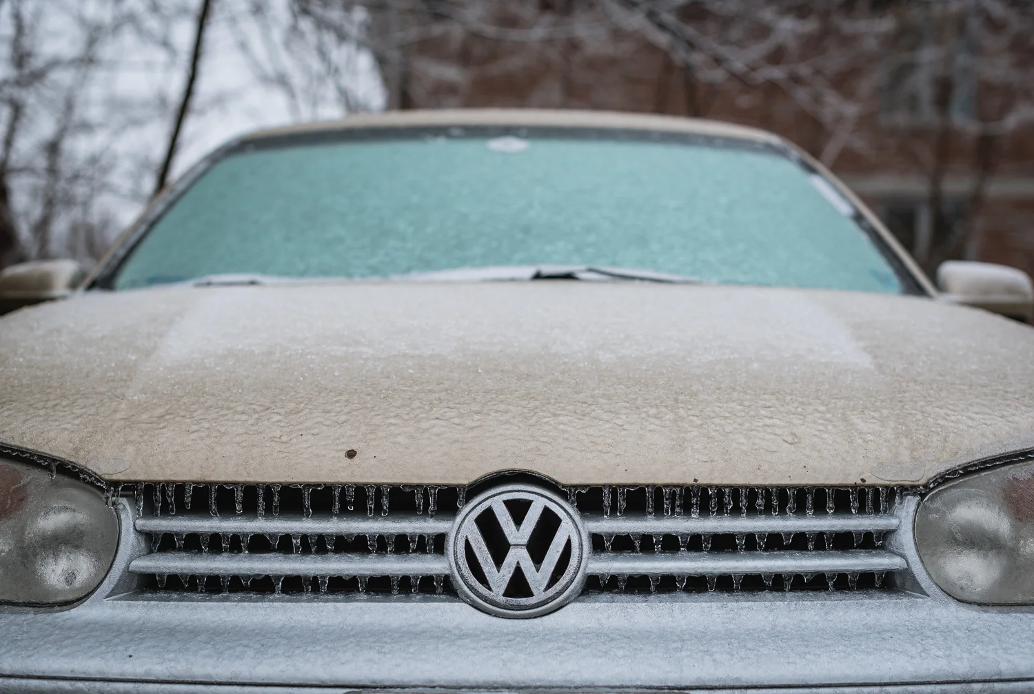  1/80, f/3.5, ISO 100, 50mm 