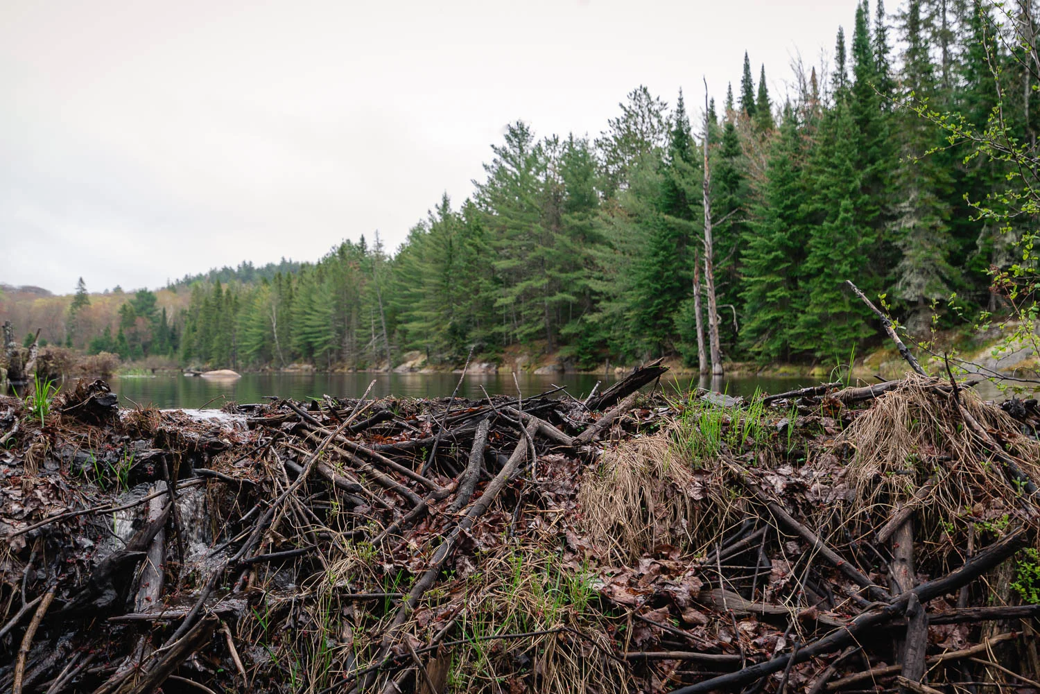  1/125, f/3.2, ISO 100, 30mm 