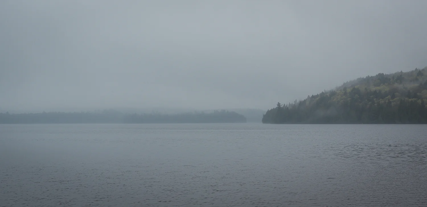  1/60, f/8, ISO 800, 50mm 