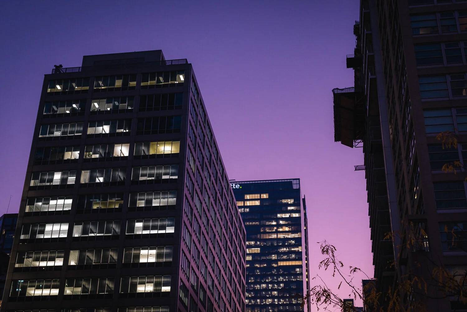  1/60, f/4.5, ISO 1250, 50mm 