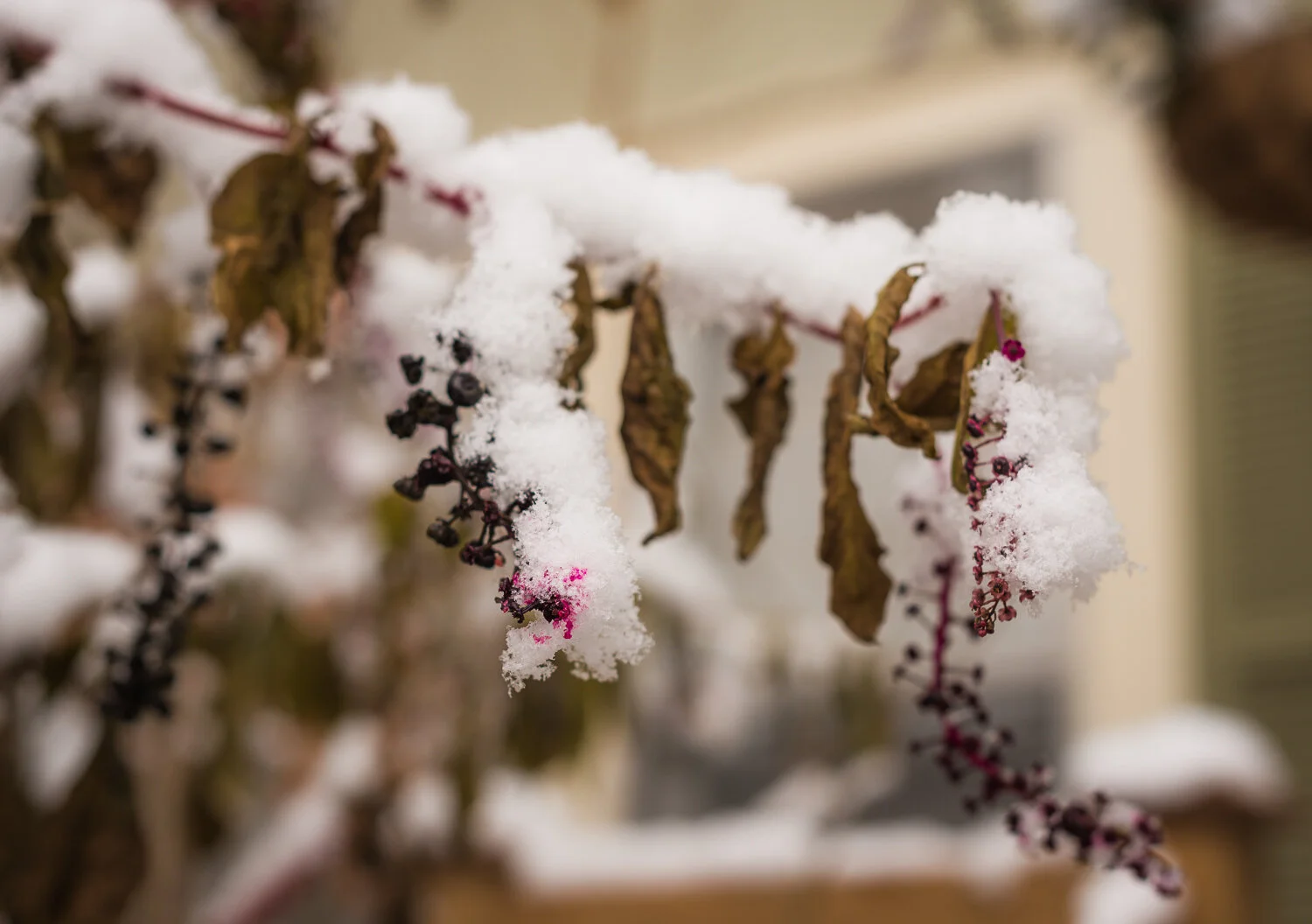  1/320, f/4, ISO 100, 50mm 