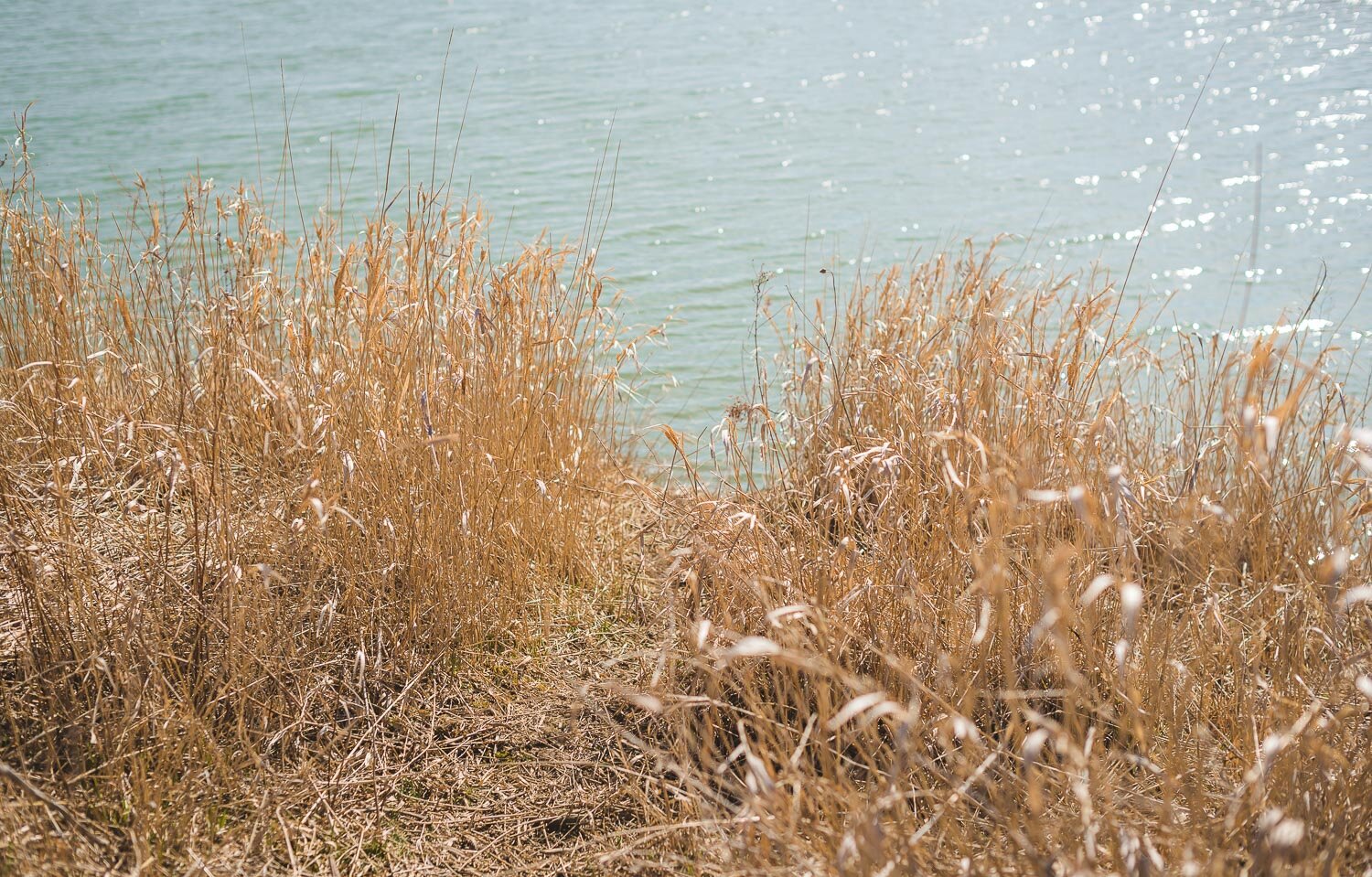 1/2000, f/3.2, ISO 100, 50mm