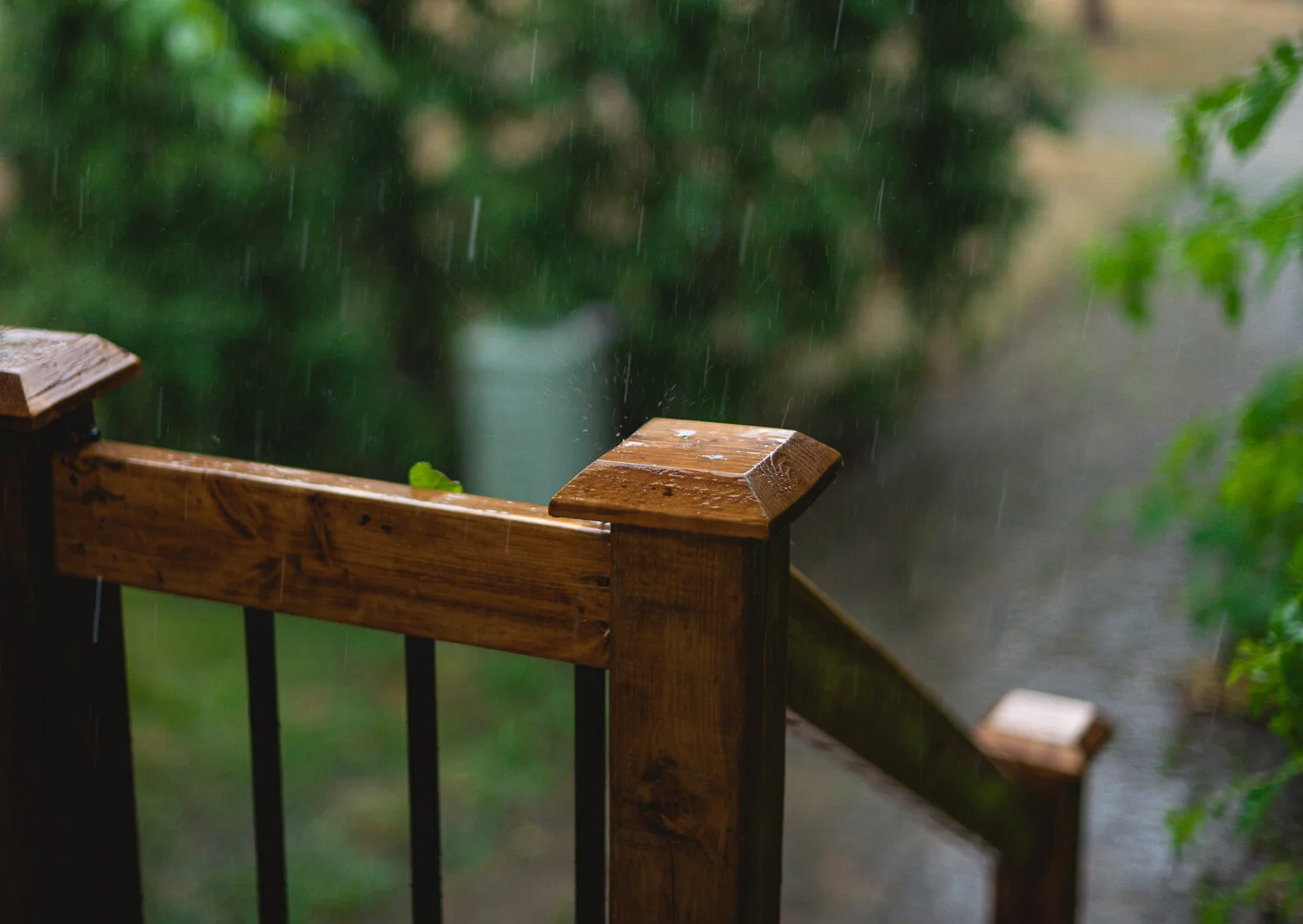  1/200, f/1.6, ISO 500, 50mm 