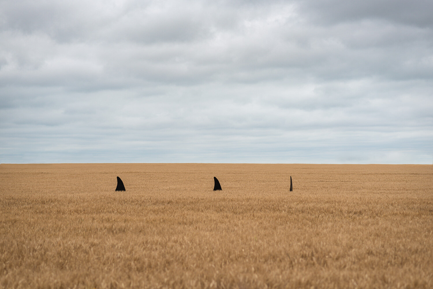  1/3200, f/2.8, ISO 100, 85mm 
