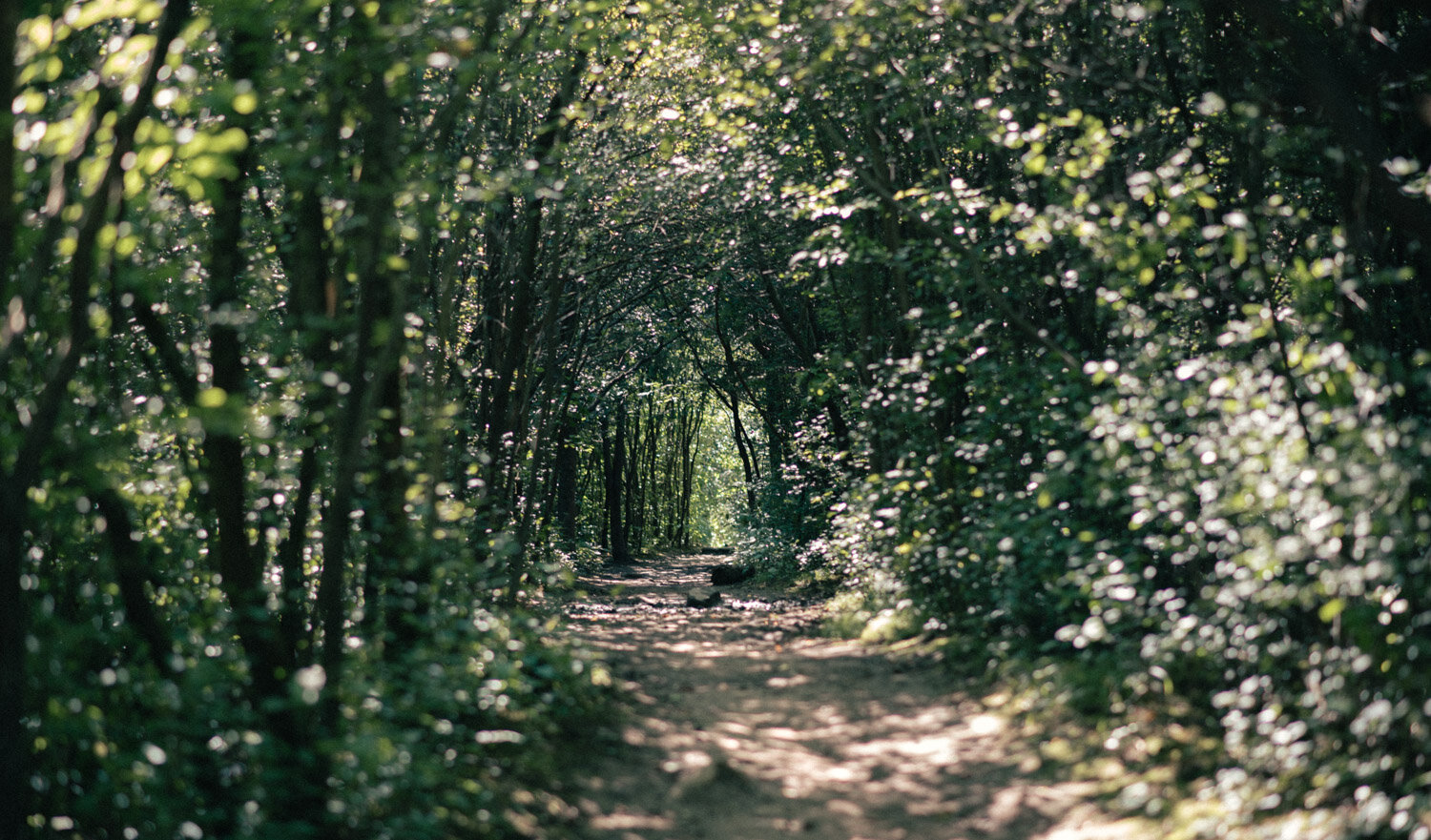 1/100, f/2.2, ISO 100, 85mm
