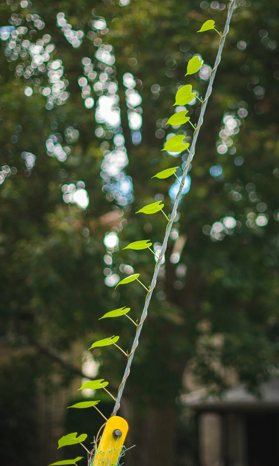  1/640, f/1.6, ISO 100, 50mm 
