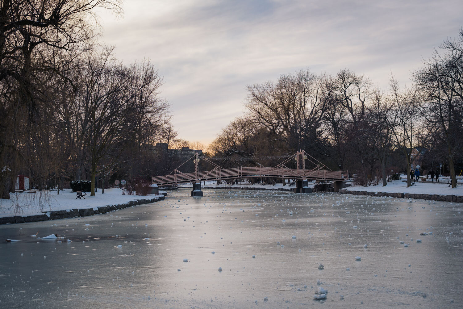  1/250, f/5, ISO 200, 50mm 