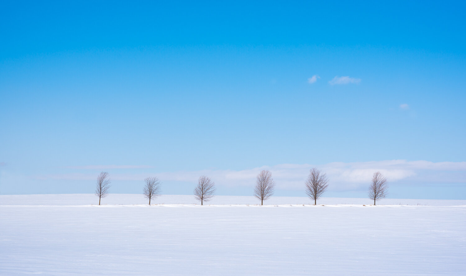 1/1250, f/8, ISO 100, 85mm