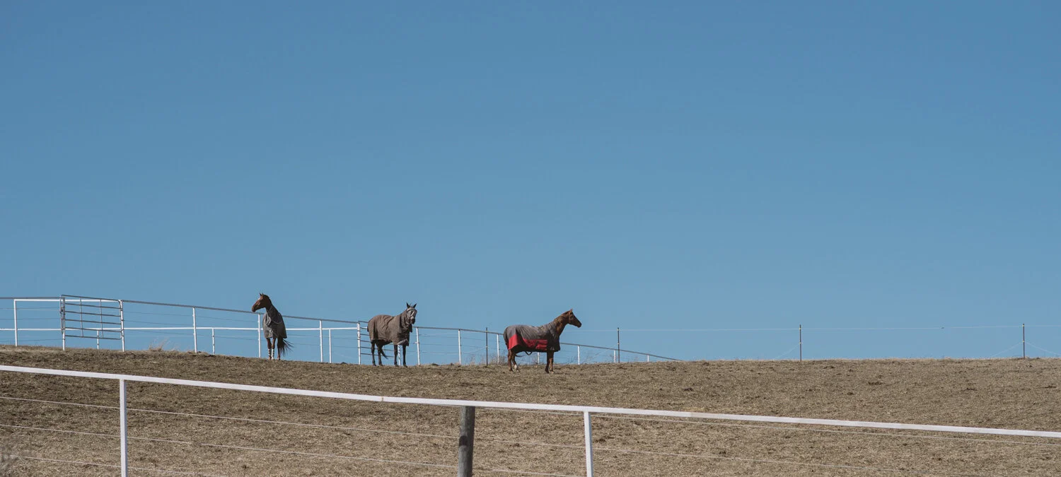  1/2000, f/4, ISO 100, 85mm 
