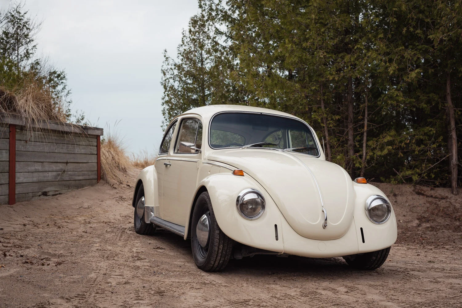  1/250, f/6.3, ISO 160, 50mm 