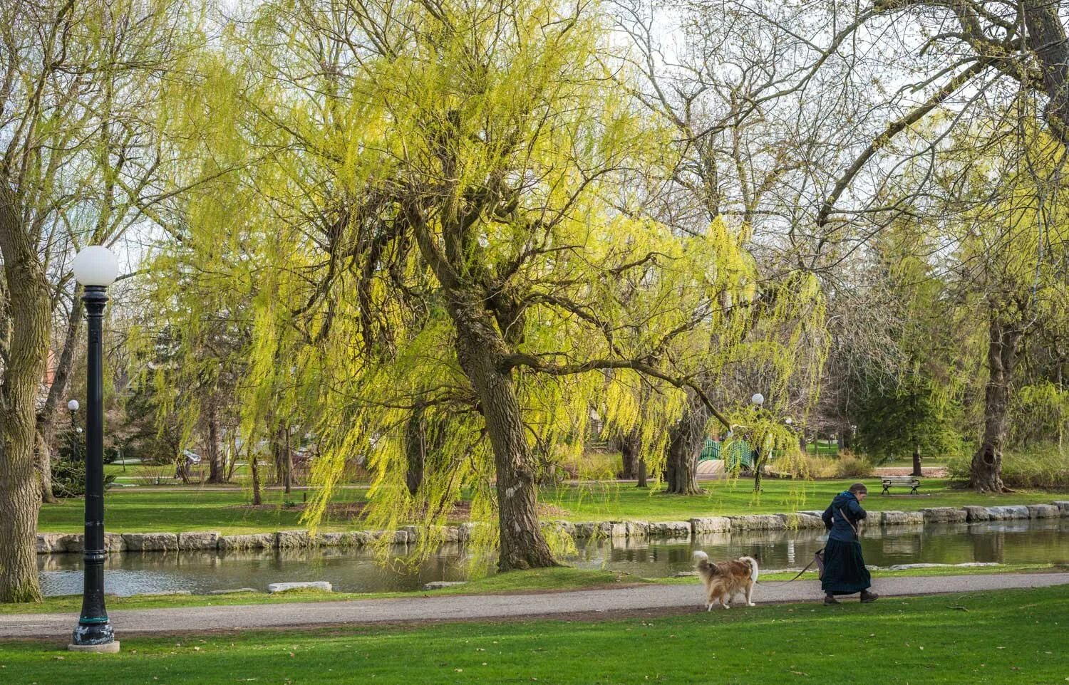  1/125, f/7.1, ISO 100, 50mm 