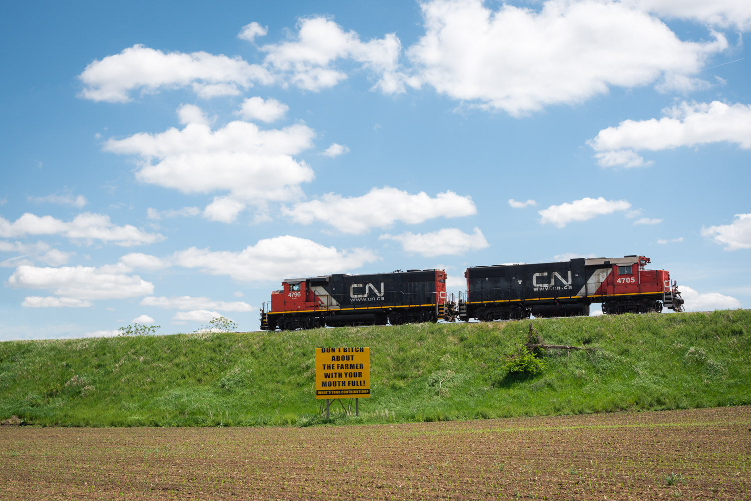  1/500, f/8, ISO 100, 50mm 