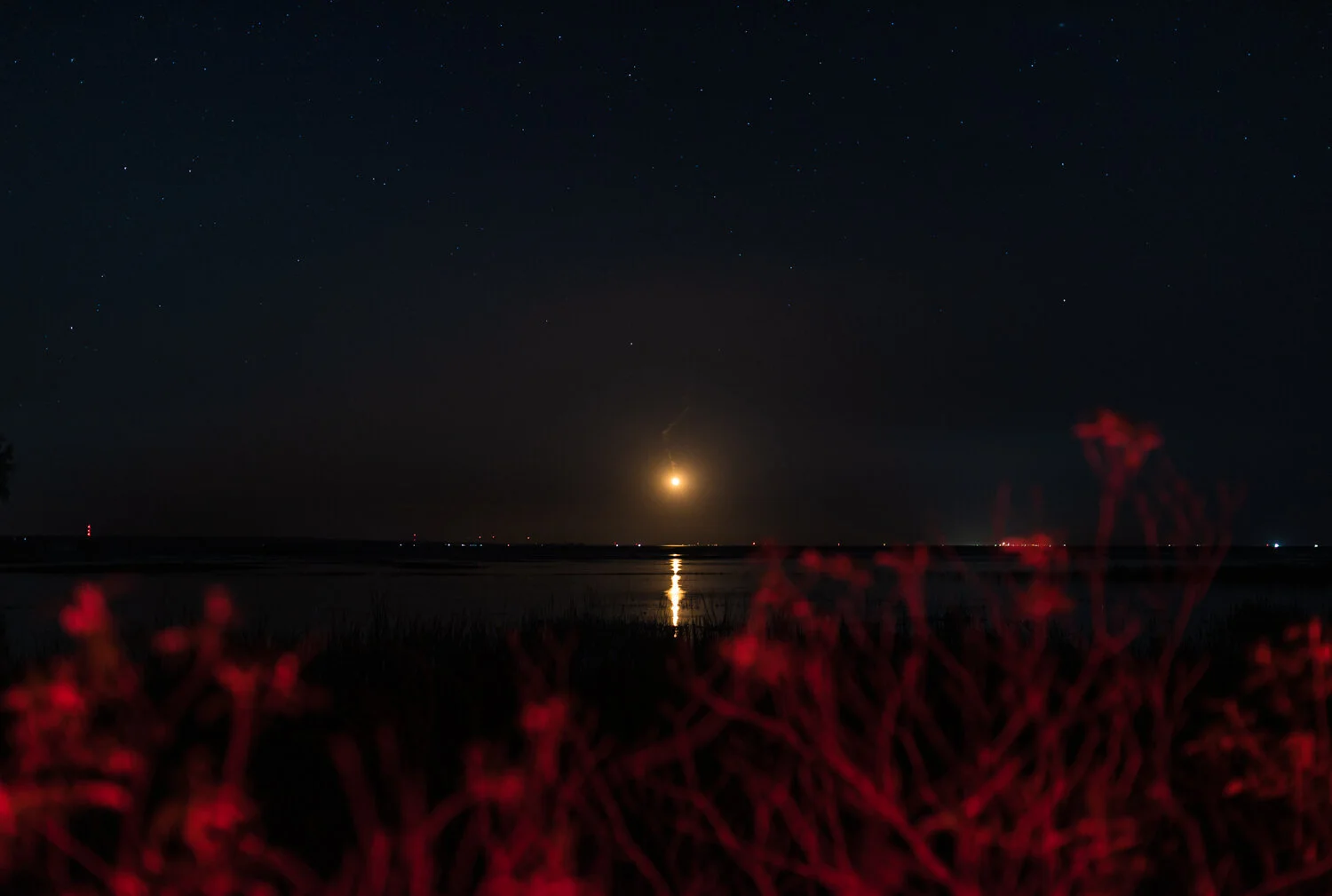  1.3 seconds, f/2.2, ISO 800, 50mm 