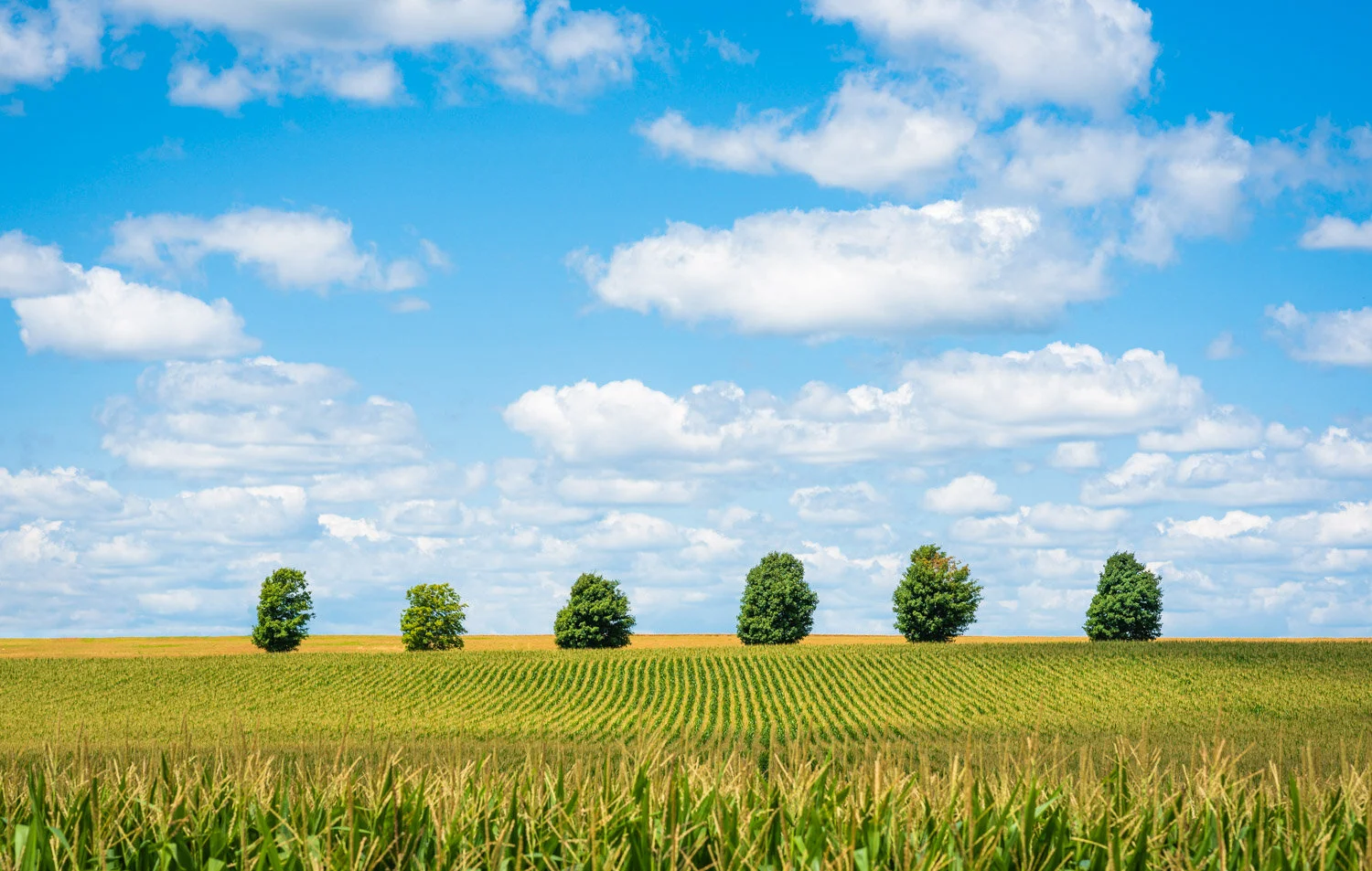  1/640, f/8, ISO 100, 85mm 