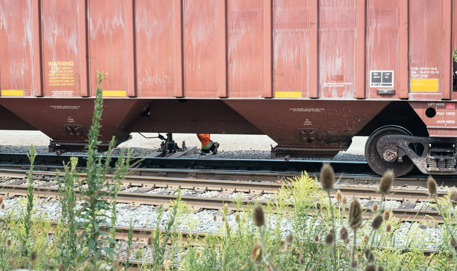  1/1000, f/8, ISO 900, 50mm 