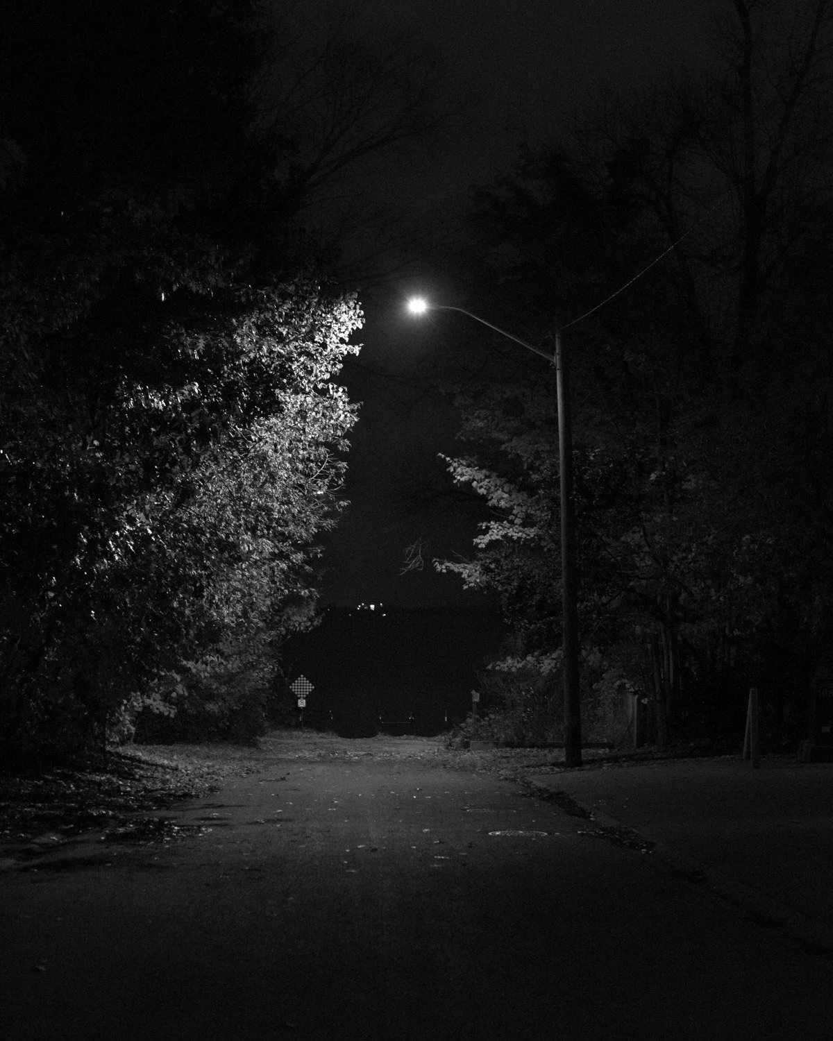  1/60, f/2.5, ISO 3200, 50mm 