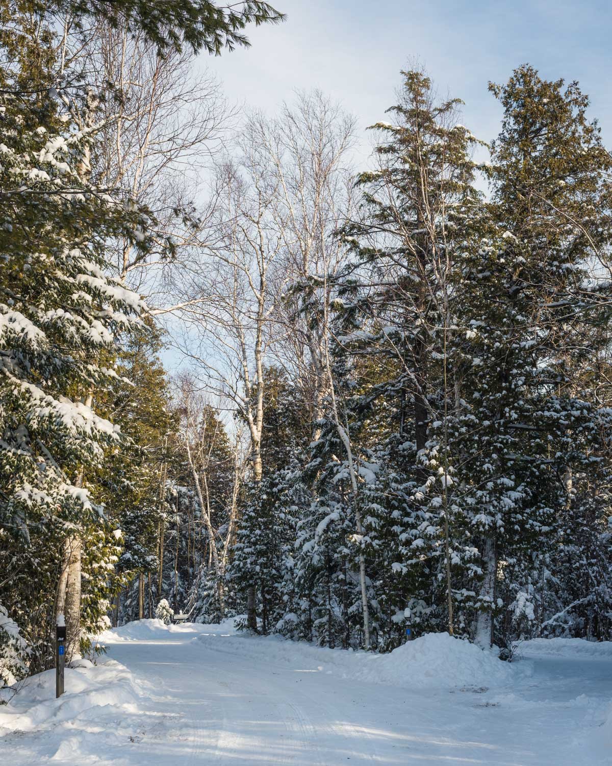 1/500, f/7.1, ISO 100, 50mm