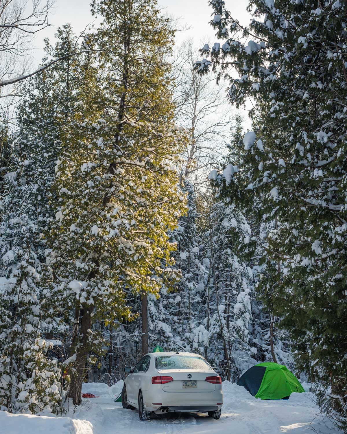 1/320, f/7.1, ISO 100, 50mm