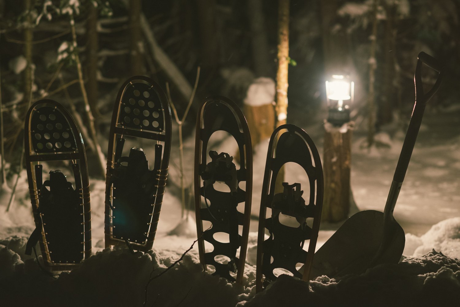 1/80, f/2.5, ISO 3200, 50mm