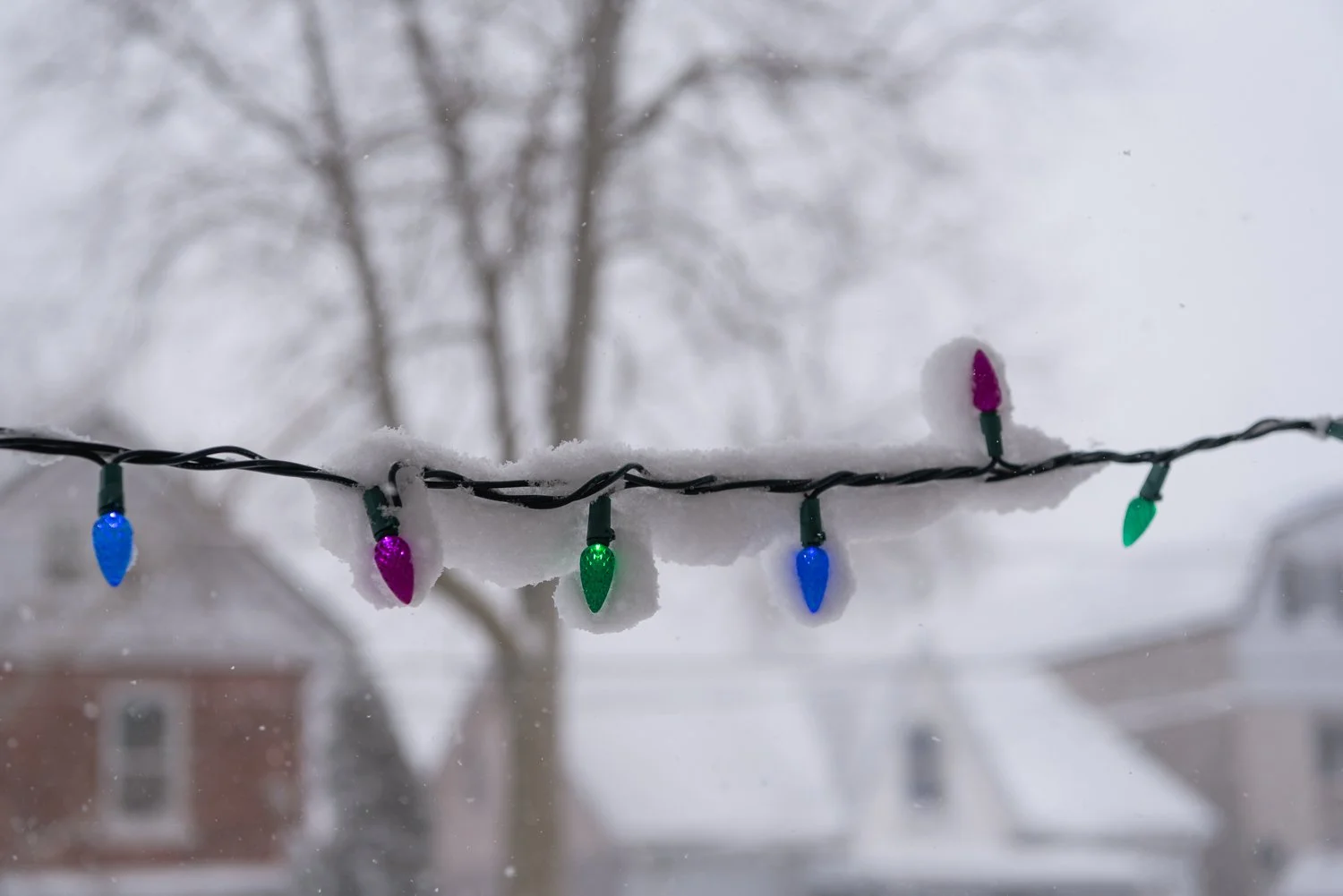  1/1250, f/4.5, ISO 100 