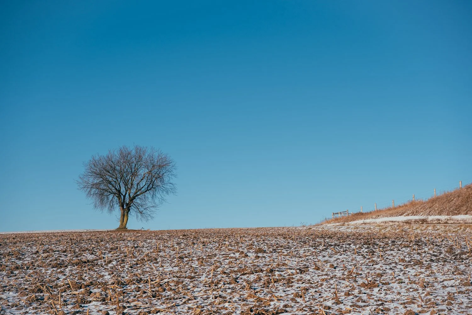 1/800, f/7.1, ISO 100