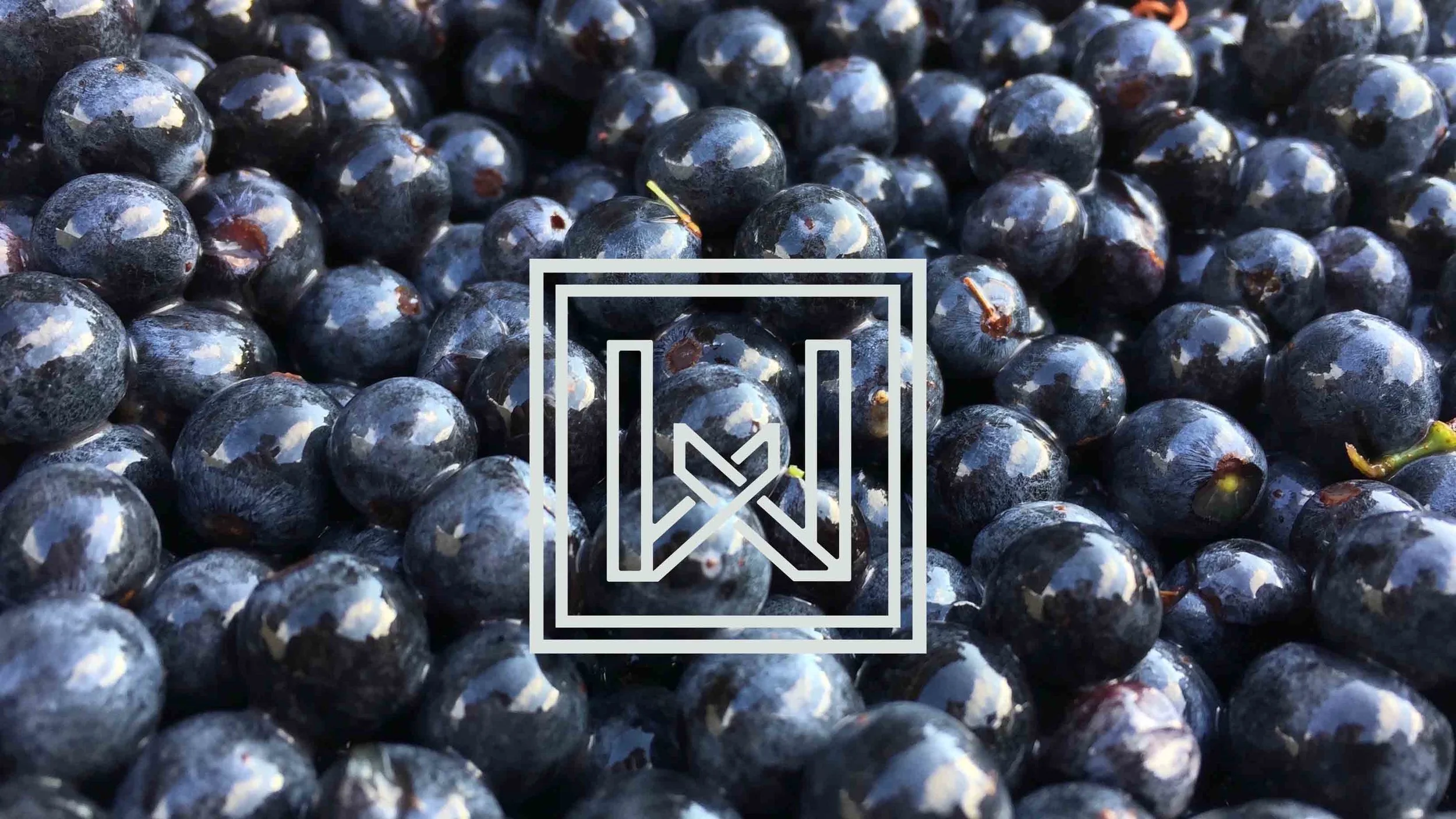 berries.jpg