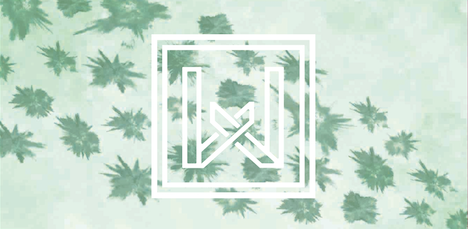 '21 nol gamay FL.png