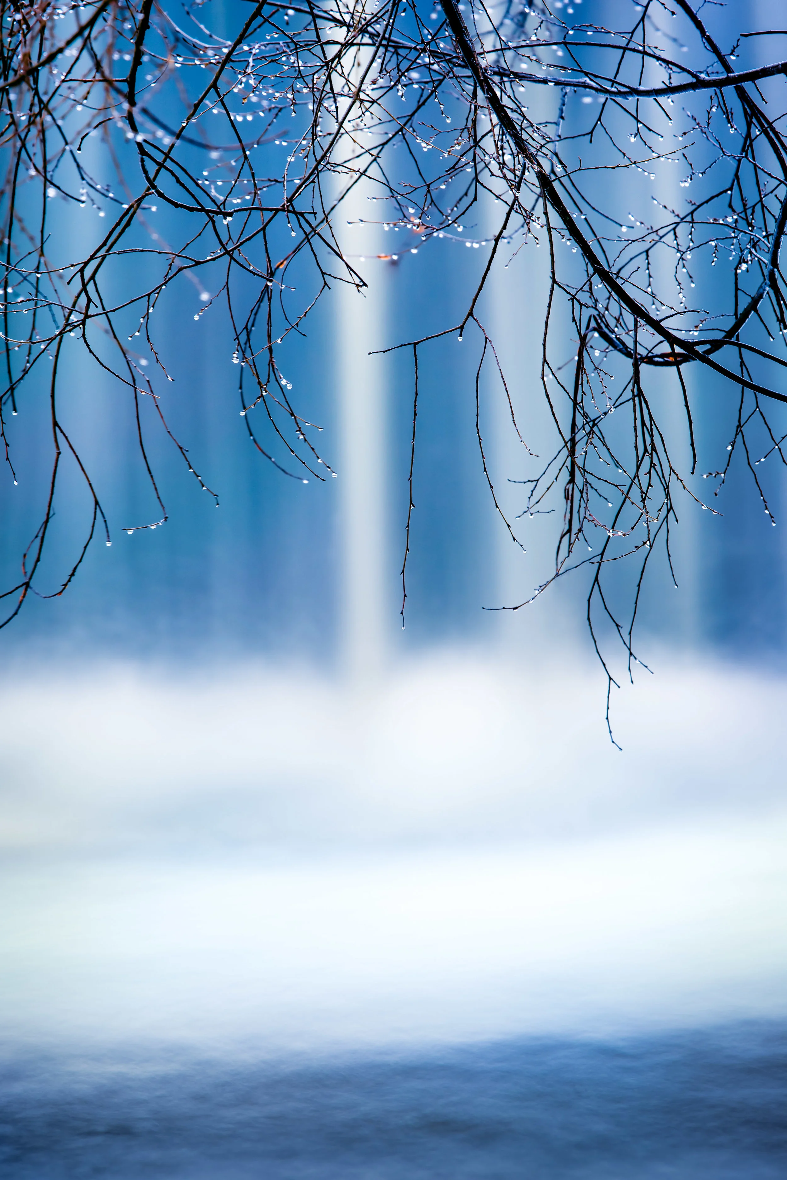 JeffGrahamPhotography--74.jpg