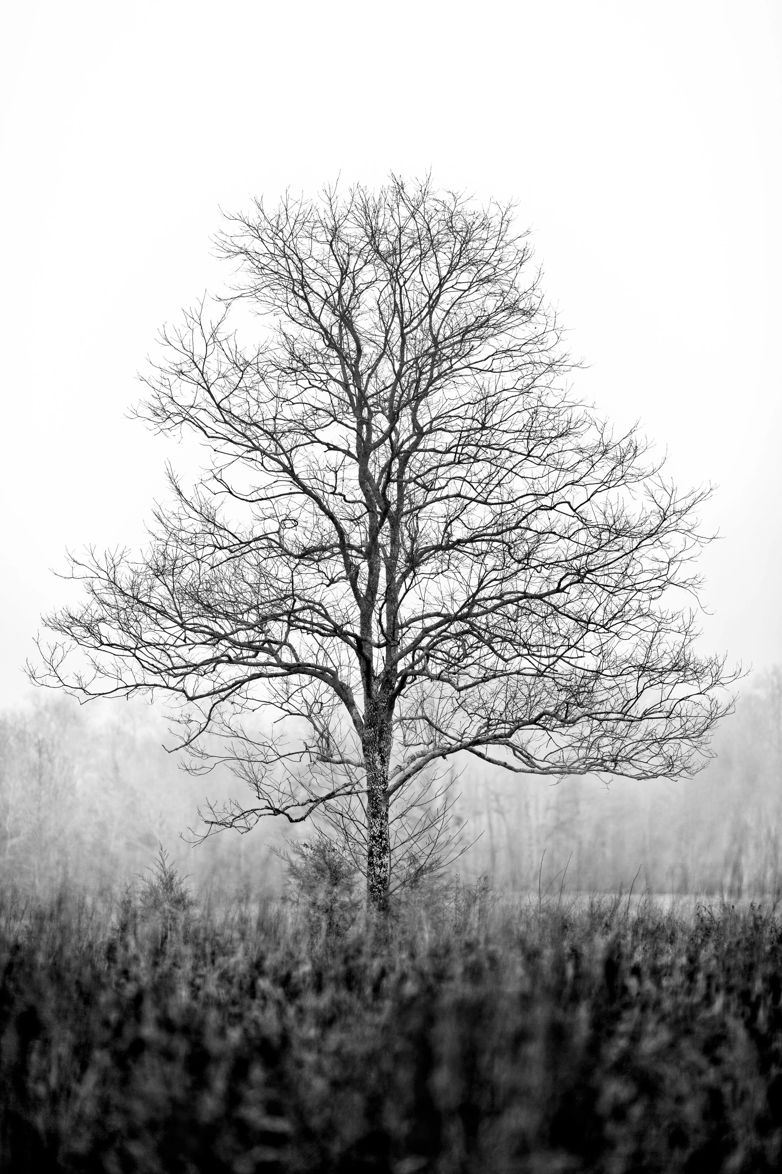 JeffGrahamPhotography--75.jpg